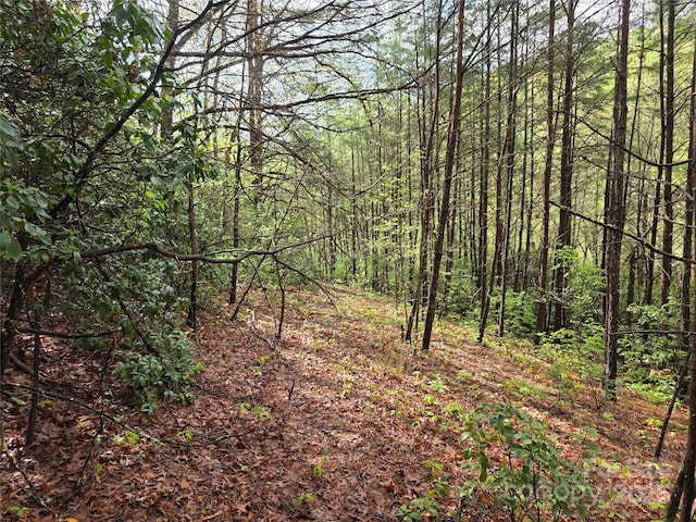 00 Greens Creek Rd, Sylva, NC 28779