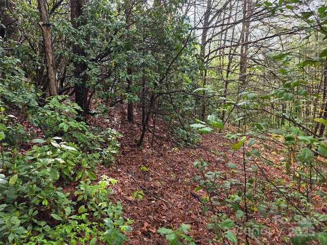 00 Greens Creek Rd, Sylva, NC 28779