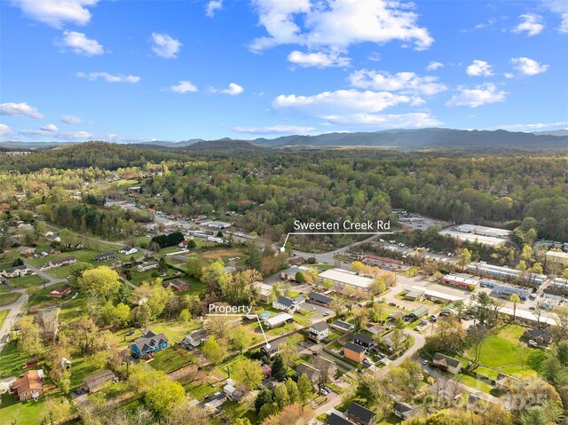 110 Hayden Way, Asheville, NC 28803 - birds eye view of property with a view of trees and a mountain view