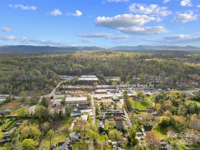 110 Hayden Way, Asheville, NC 28803 - birds eye view of property with a wooded view, a residential view, and a mountain view