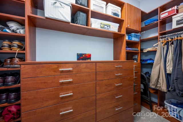 view of spacious closet