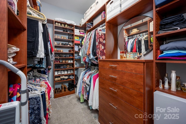 spacious closet featuring carpet floors