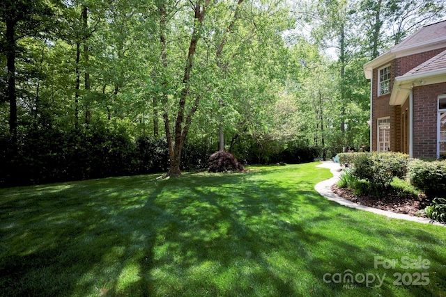 view of yard with a forest view