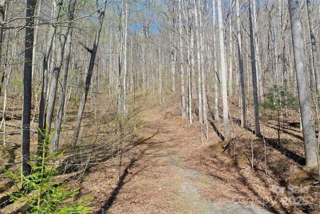TRACT1, 2 Top Drop Ln, Sylva, NC 28779