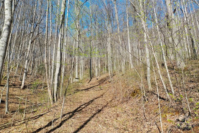TRACT1, 2 Top Drop Ln, Sylva, NC 28779