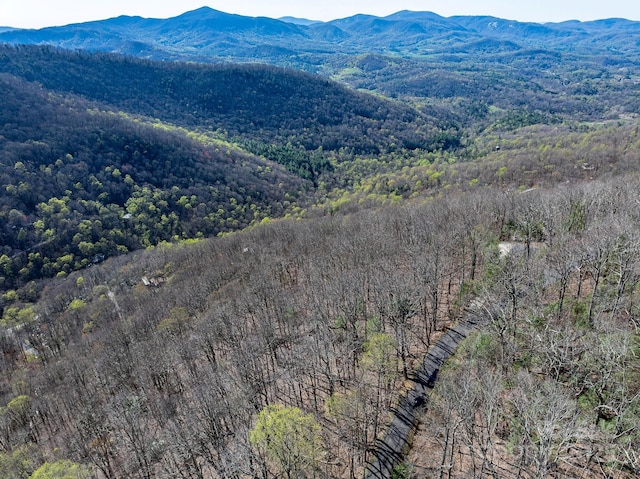 99999 Chestnut Forest Road 412 & #413, Fairview, NC 28730 - photo 2