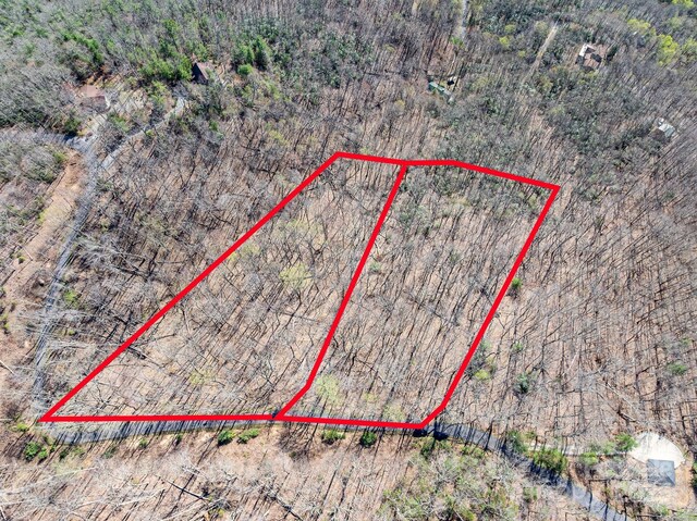 99999 Chestnut Forest Road 412 & #413, Fairview, NC 28730 - photo 3