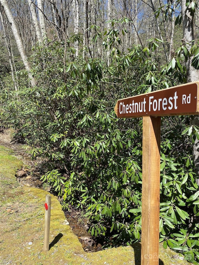 99999 Chestnut Forest Road 412 & #413, Fairview, NC 28730 - photo 4