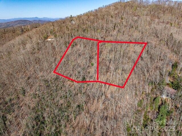 99999 Chestnut Forest Road 412 & #413, Fairview, NC 28730 - photo 9