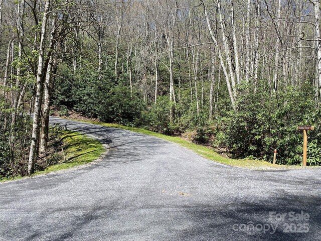 99999 Chestnut Forest Road 412 & #413, Fairview, NC 28730 - photo 14