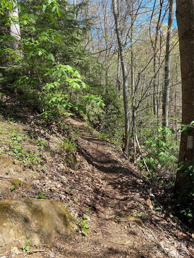99999 Chestnut Forest Road 412 & #413, Fairview, NC 28730 - photo 21