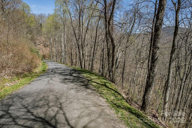 99999 Chestnut Forest Road 412 & #413, Fairview, NC 28730 - photo 23