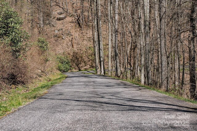 99999 Chestnut Forest Road 412 & #413, Fairview, NC 28730 - photo 25
