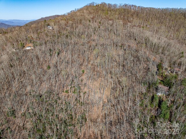 99999 Chestnut Forest Road 412 & #413, Fairview, NC 28730 - photo 28