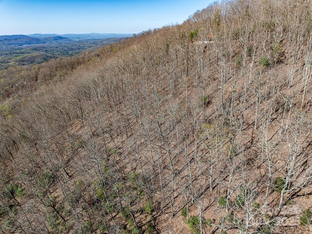 99999 Chestnut Forest Road 412 & #413, Fairview, NC 28730 - photo 29