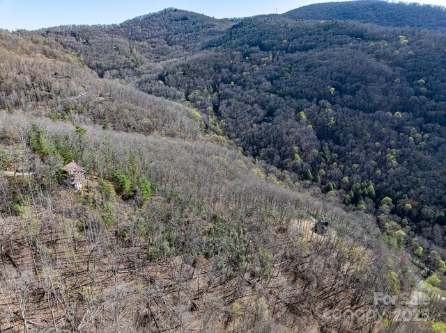 99999 Chestnut Forest Road 412 & #413, Fairview, NC 28730 - photo 30