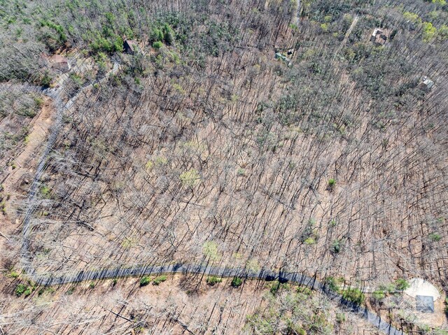 99999 Chestnut Forest Road 412 & #413, Fairview, NC 28730 - photo 31