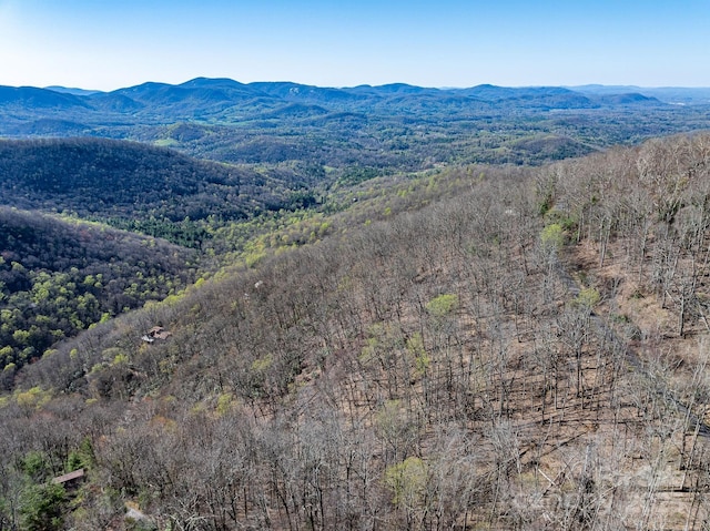 99999 Chestnut Forest Road 412 & #413, Fairview, NC 28730 - photo 32