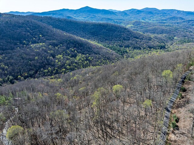 99999 Chestnut Forest Road 412 & #413, Fairview, NC 28730 - photo 33