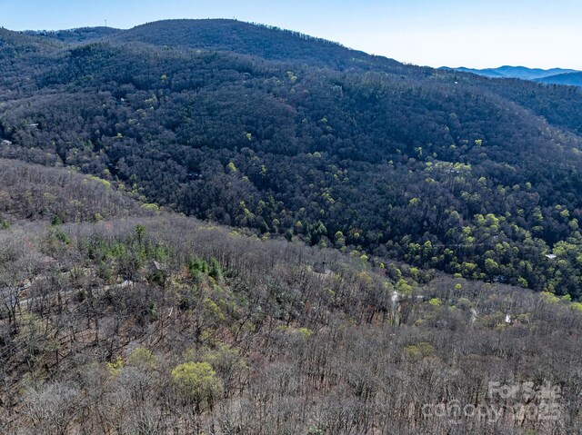 99999 Chestnut Forest Road 412 & #413, Fairview, NC 28730 - photo 34