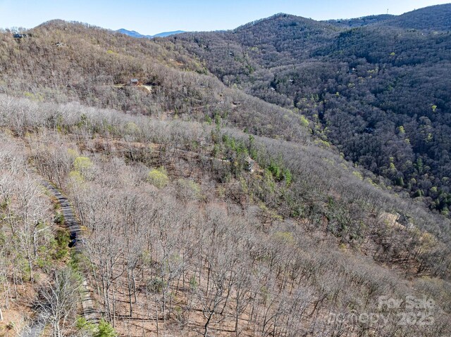 99999 Chestnut Forest Road 412 & #413, Fairview, NC 28730 - photo 35