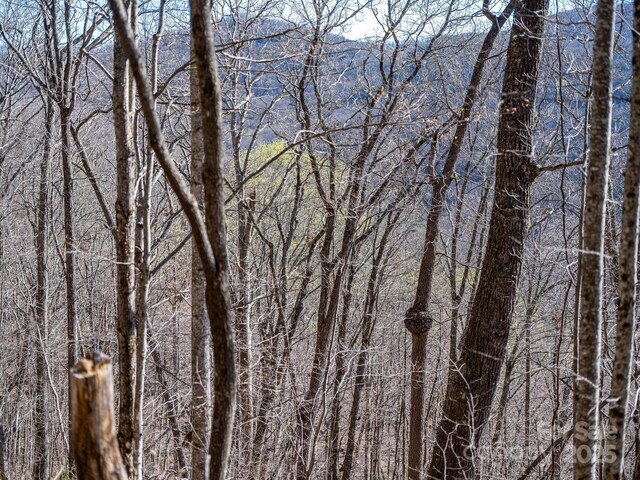99999 Chestnut Forest Road 412 & #413, Fairview, NC 28730 - photo 36