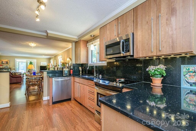 102 Glenbrook Dr, Hendersonville, NC 28739 - kitchen with open floor plan, a peninsula, light wood-style floors, appliances with stainless steel finishes, and a sink