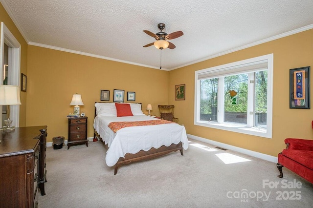 102 Glenbrook Dr, Hendersonville, NC 28739 - bedroom featuring crown molding, carpet flooring, baseboards, and a textured ceiling