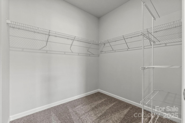 spacious closet featuring dark carpet