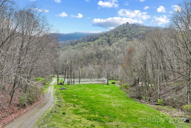 view of mountain feature featuring a view of trees