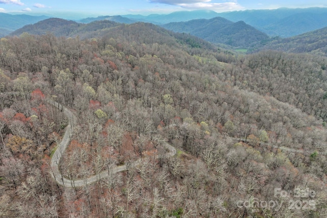 property view of mountains featuring a view of trees