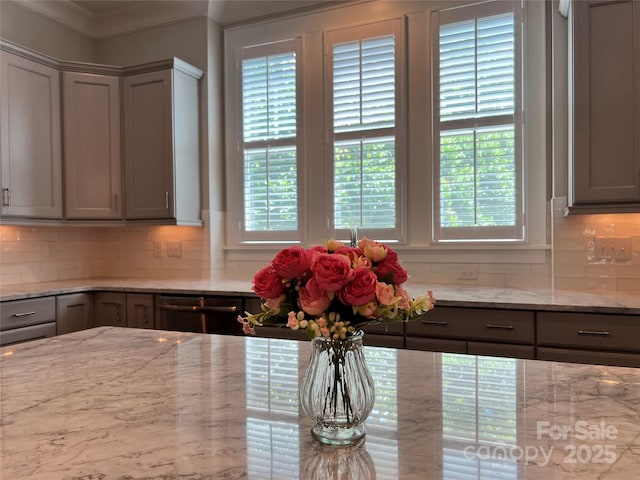 1550 Matthew Mcclure Cir, Davidson, NC 28036 - kitchen featuring gray cabinets, plenty of natural light, and crown molding