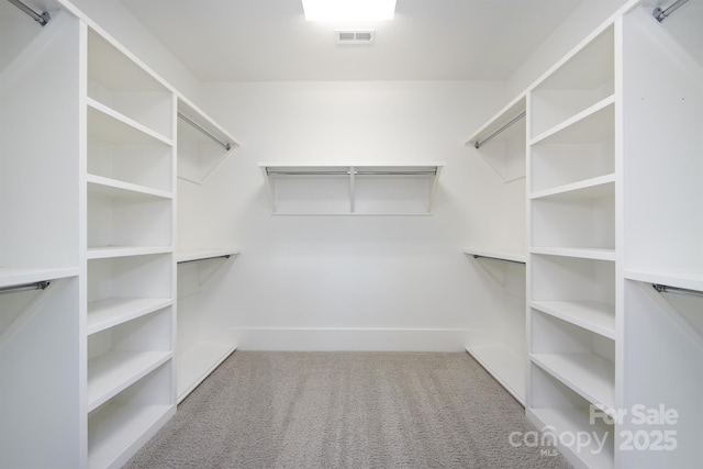 1550 Matthew Mcclure Cir, Davidson, NC 28036 - spacious closet with carpet