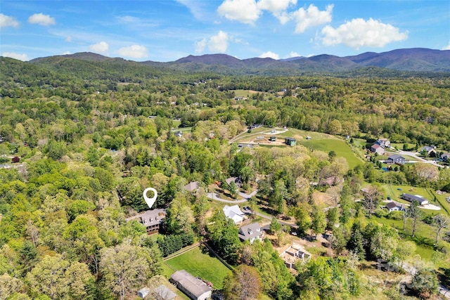 aerial view with a forest view and a mountain view