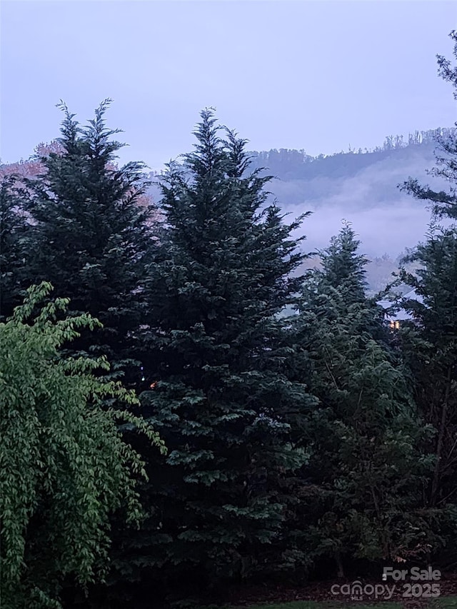 view of landscape with a forest view
