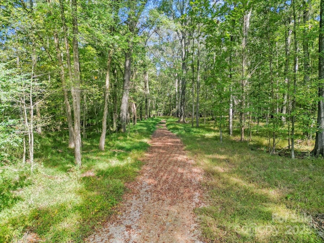 5908 Will Plyler Rd, Waxhaw, NC 28173 - photo 2