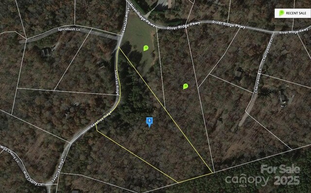 00 Sasafras Rdg, Rutherfordton, NC 28139