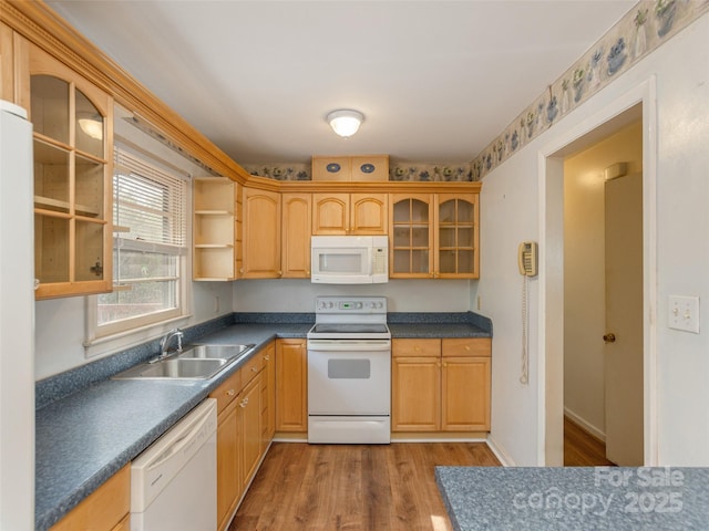 12 Birchwood Ln, Asheville, NC 28805 - kitchen featuring white appliances, glass insert cabinets, wood finished floors, a sink, and dark countertops