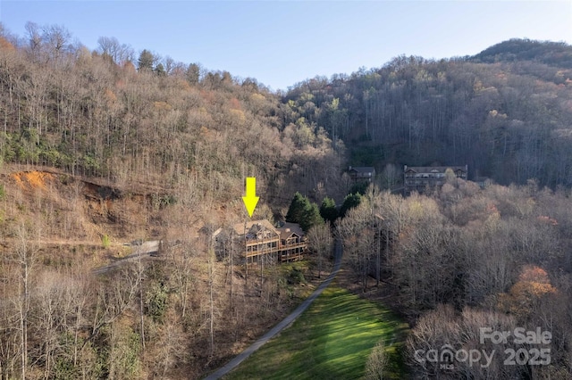 226 Sawgrass Dr Unit 3, Whittier, NC 28789 - aerial view with a forest view