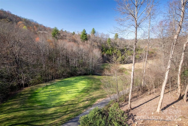 226 Sawgrass Dr Unit 3, Whittier, NC 28789 - view of yard with a wooded view