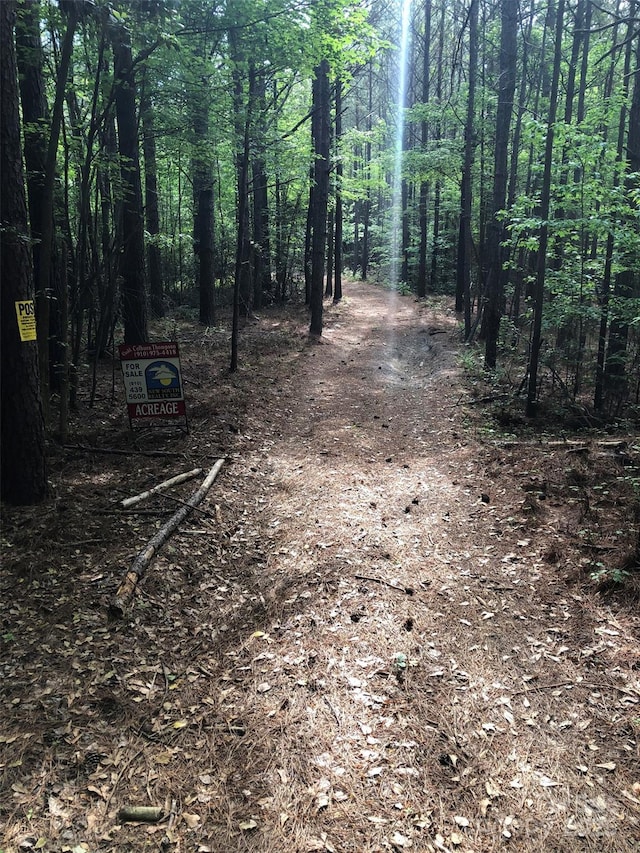 70ACRES Thickety Creek Rd, Mount Gilead, NC 27306
