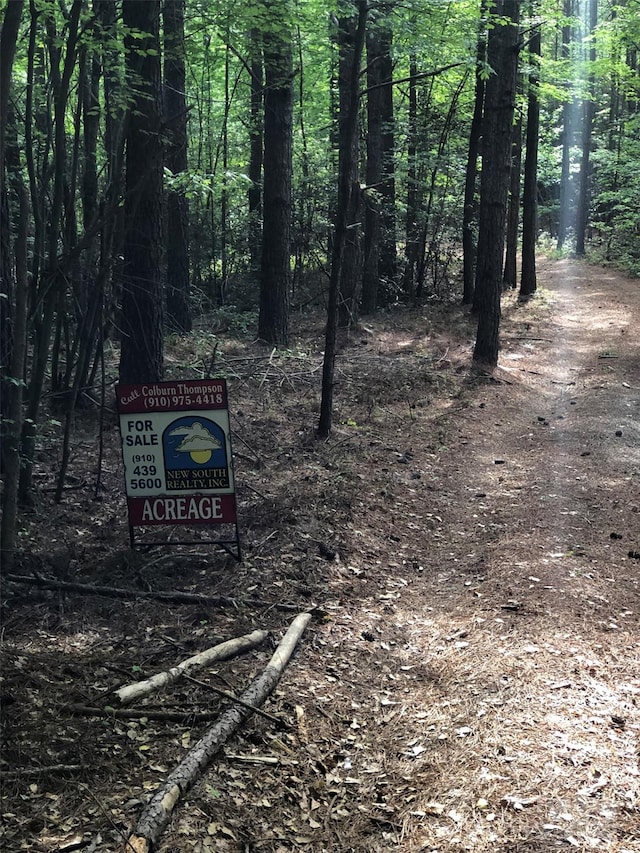 70ACRES Thickety Creek Rd, Mount Gilead, NC 27306
