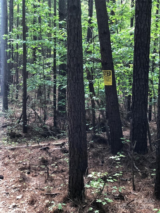 70ACRES Thickety Creek Rd, Mount Gilead, NC 27306