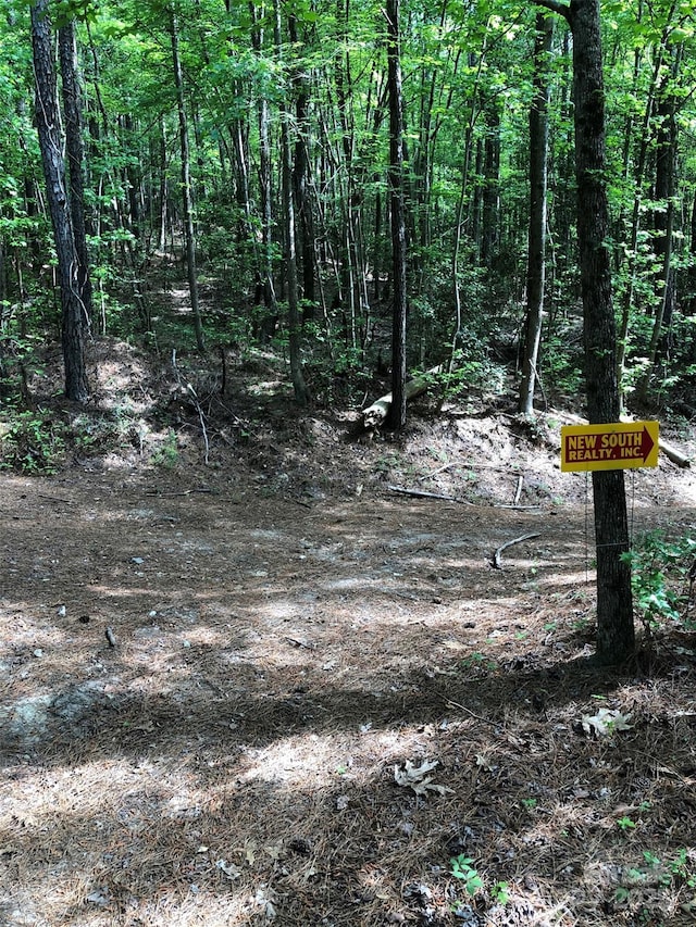 70ACRES Thickety Creek Rd, Mount Gilead, NC 27306