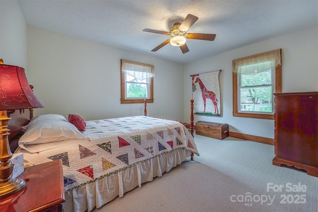 207 New Orleans Blvd, Morganton, NC 28655 - bedroom with carpet, a textured ceiling, ceiling fan, and multiple windows