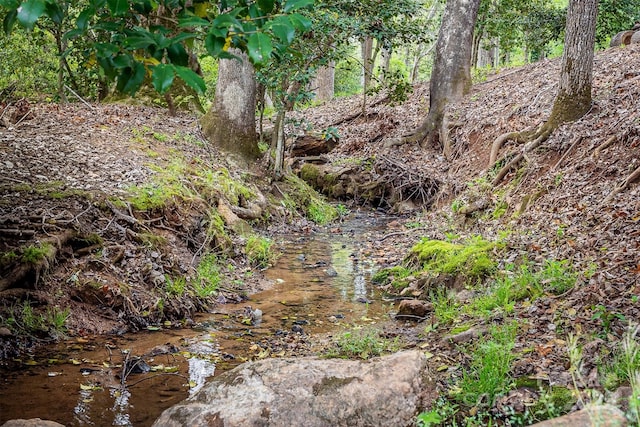 207 New Orleans Blvd, Morganton, NC 28655 - view of local wilderness