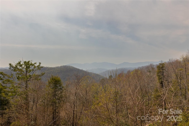263 Mine Cove Rd, Spruce Pine, NC 28777 - mountain view featuring a forest view