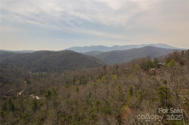 263 Mine Cove Rd, Spruce Pine, NC 28777 - mountain view featuring a forest view