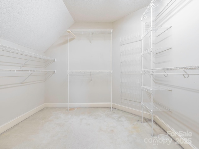 spacious closet with carpet