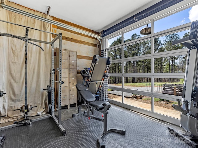 workout room featuring a wealth of natural light